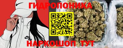 эйфоретик Кулебаки