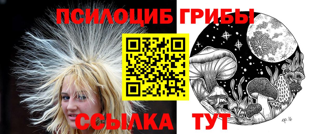 закладки  Вход с VPN  Вятские Поляны  Псилоцибиновые грибы ЛСД 