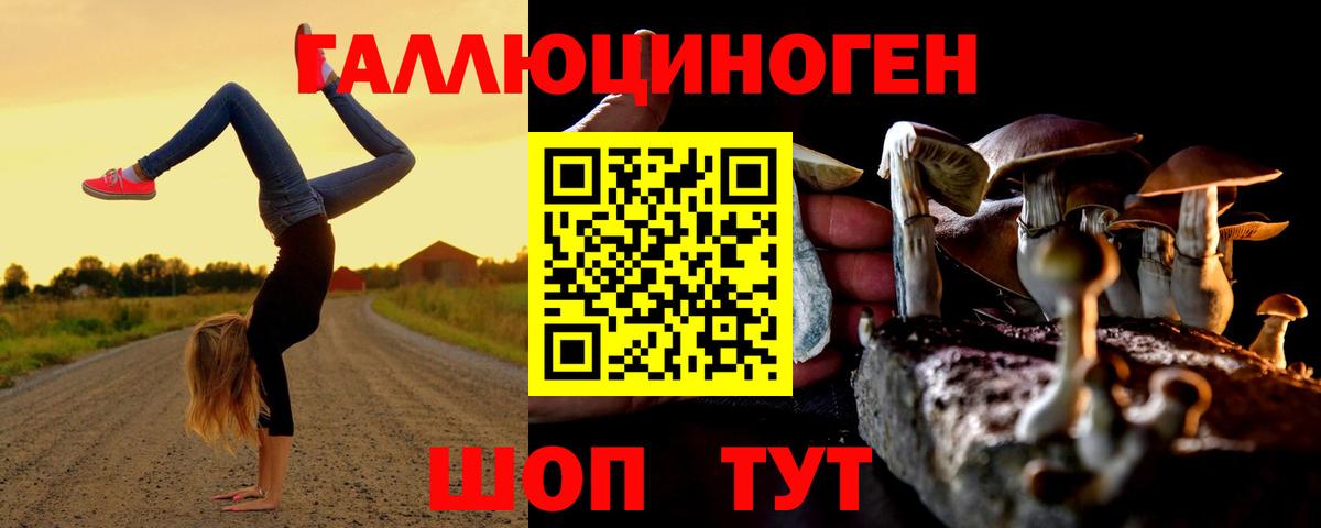 Галлюциногенные грибы Magic Shrooms Вятские Поляны